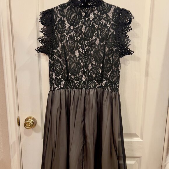 Dresses & Skirts - Black Sheer Skirt & Black Lace top over Ivory Underlay.  Size L